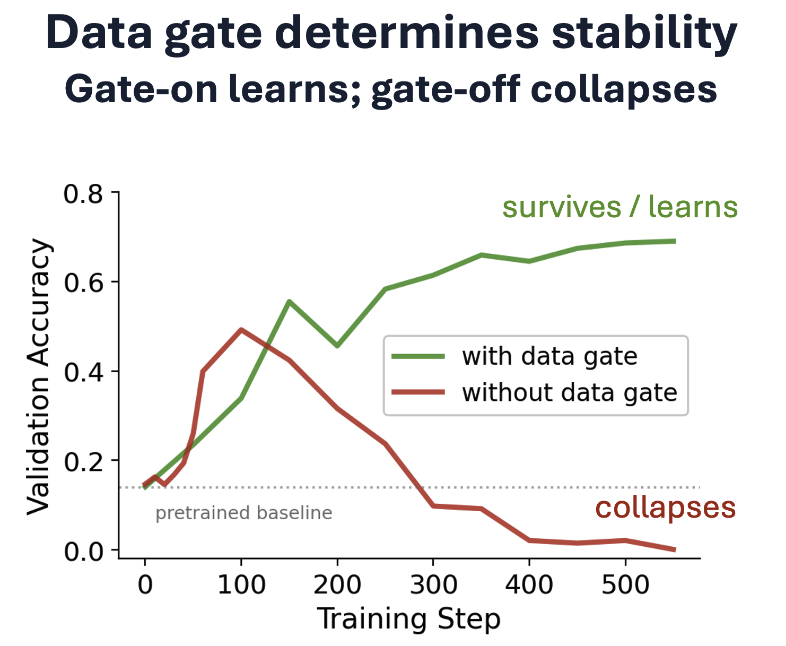 survive-or-collapse.png
